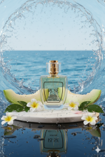 Azul Marino - Polo Blue